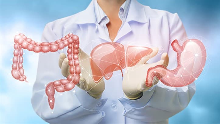 Gastroenterology And Hepatology