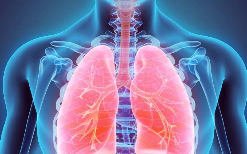 Respiratory Medicine